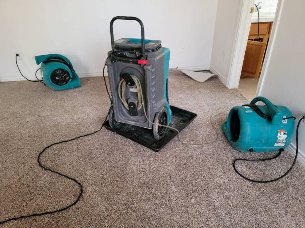 Best Flood damage cleanup  in Peru, IL