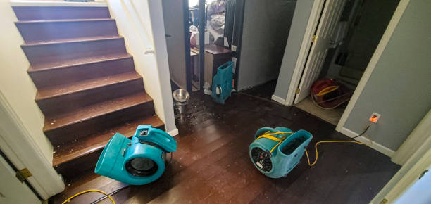 Best Local water damage restoration  in Peru, IL