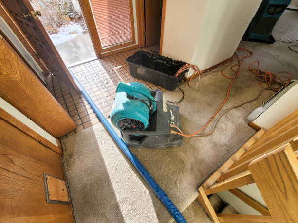 Water damage restoration mold remediation in IL