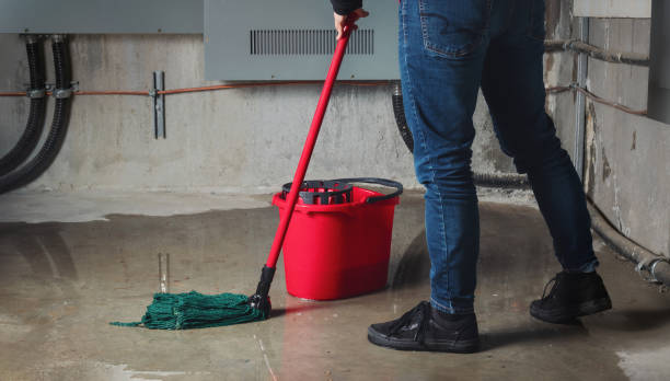 Best Water damage restoration near me  in Peru, IL