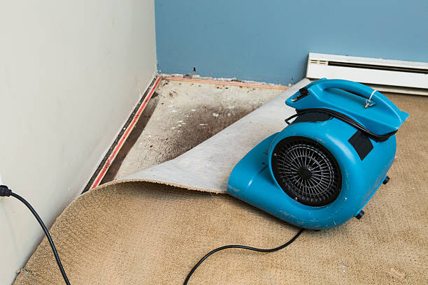 Best Commercial water damage restoration  in Peru, IL